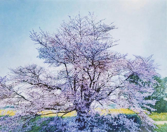 空へ